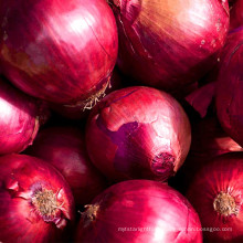 Red onion exporters concentrate cheap sell fresh onion